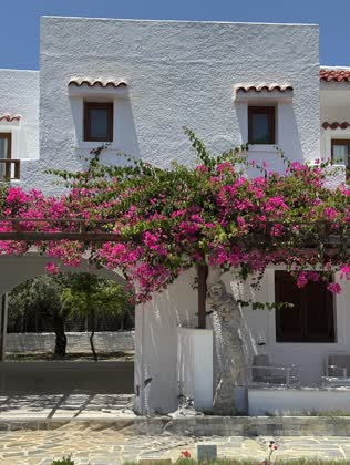 Astron hotel bungalows