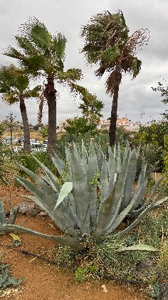 Domes Zeen Chania